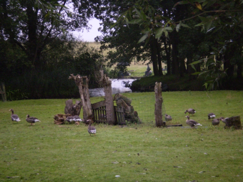 Lith 2008 (56)